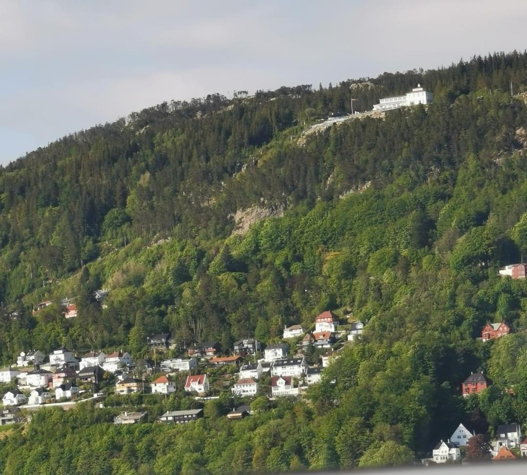 Spacious And Beautiful Apartment In Bergen With Free Parking Luaran gambar
